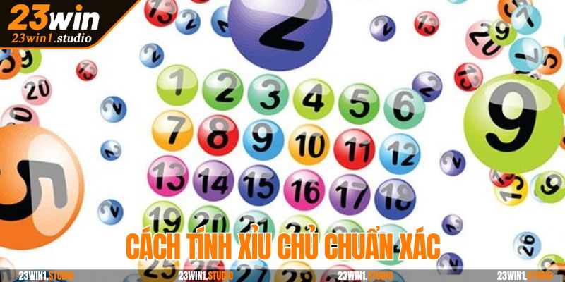 Cách áp dụng xỉu chủ là gì chuẩn xác từ kinh nghiệm cao thủ