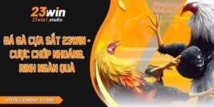 Đá Gà Cựa Sắt 23WIN - Cược Chớp Nhoáng, Rinh Ngàn Quà