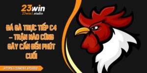 Đá Gà Trực Tiếp C4 – Trận Nào Cũng Gây Cấn Đến Phút Cuối