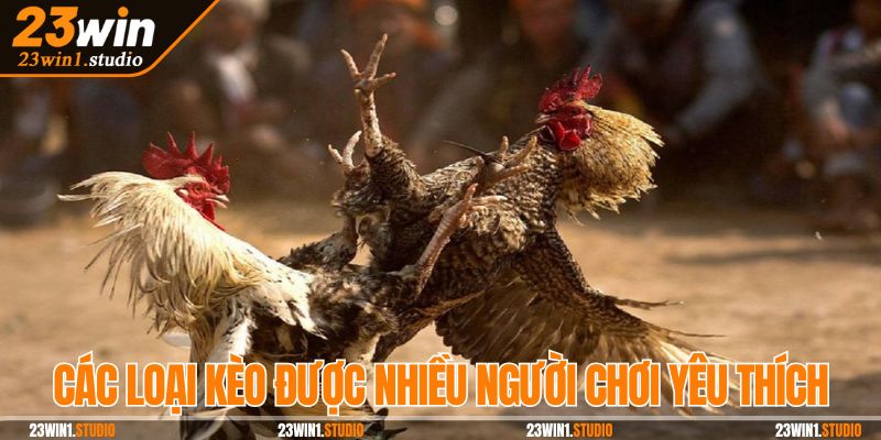 Các loại kèo được nhiều người chơi yêu thích