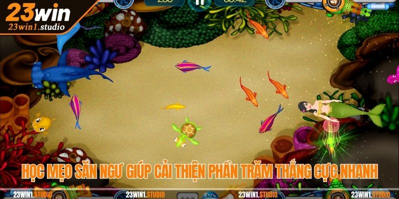 Học mẹo săn ngư giúp cải thiện phần trăm thắng cực nhanh