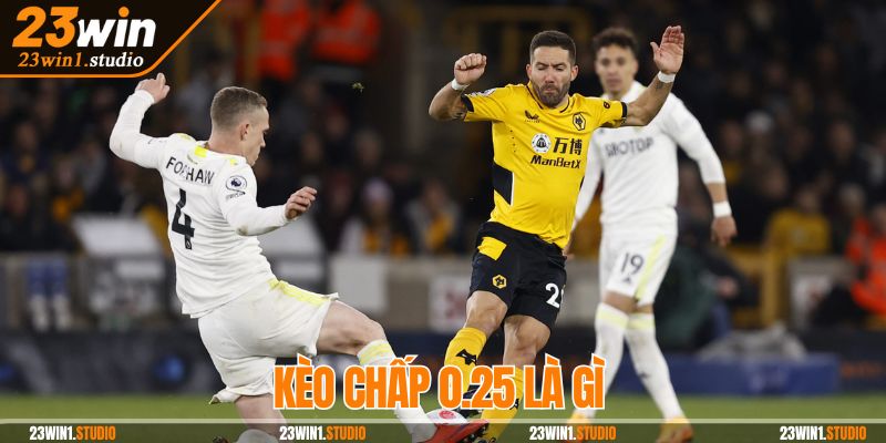 Soi kèo nhà cái dựa trên phân tích dữ liệu chi tiết