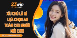 Xỉu Chủ Là Gì - Lựa Chọn An Toàn Cho Người Mới Chơi